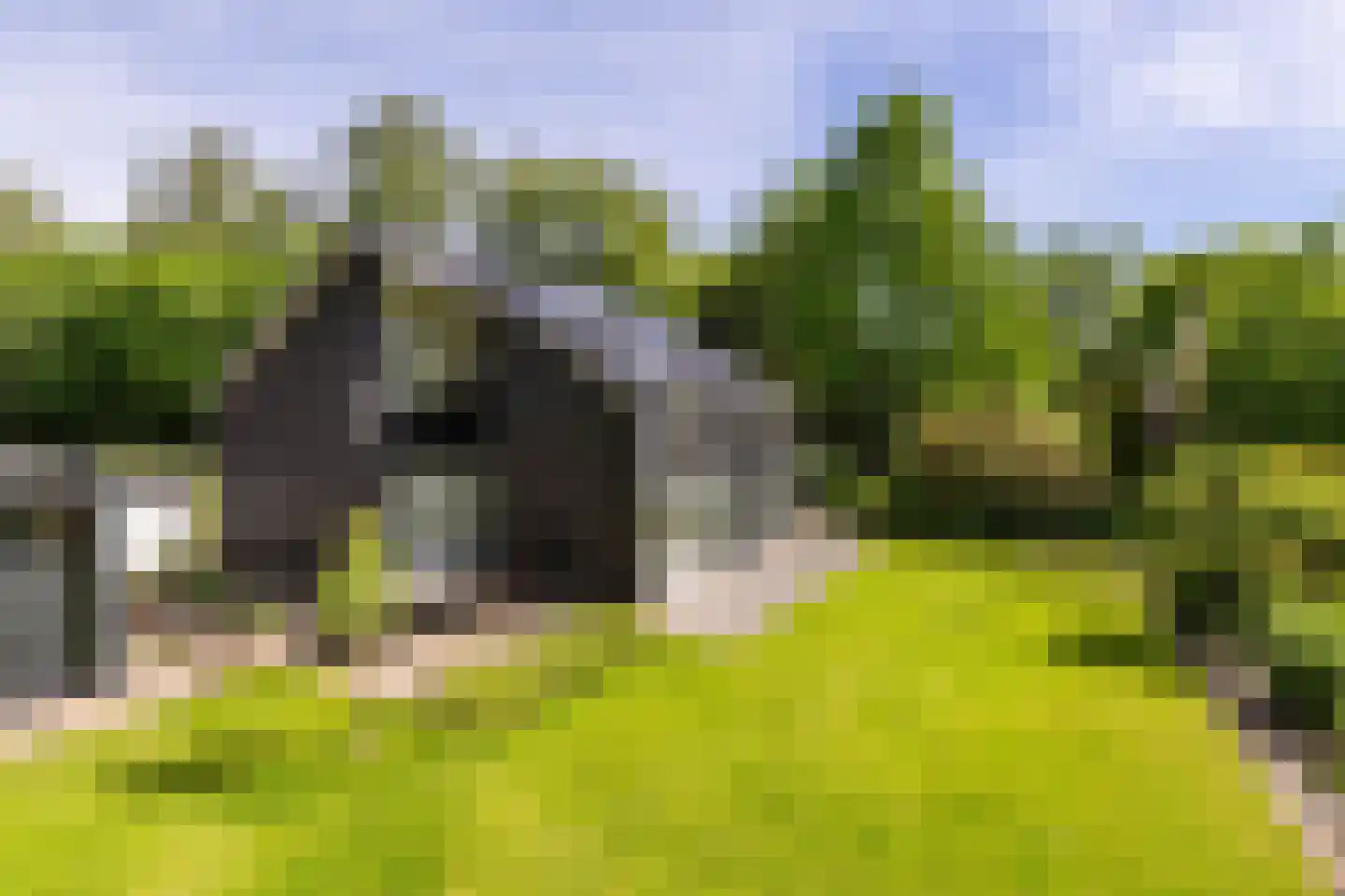 Parallelweg 71 Glimmen thumbnail 67