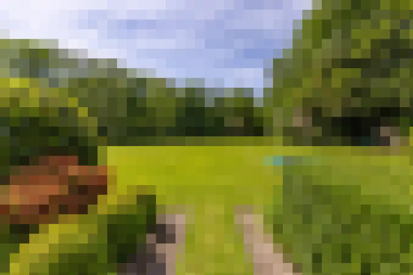 Parallelweg 71 Glimmen thumbnail 69