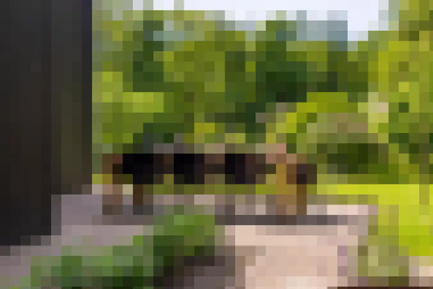 Parallelweg 71 Glimmen thumbnail 70