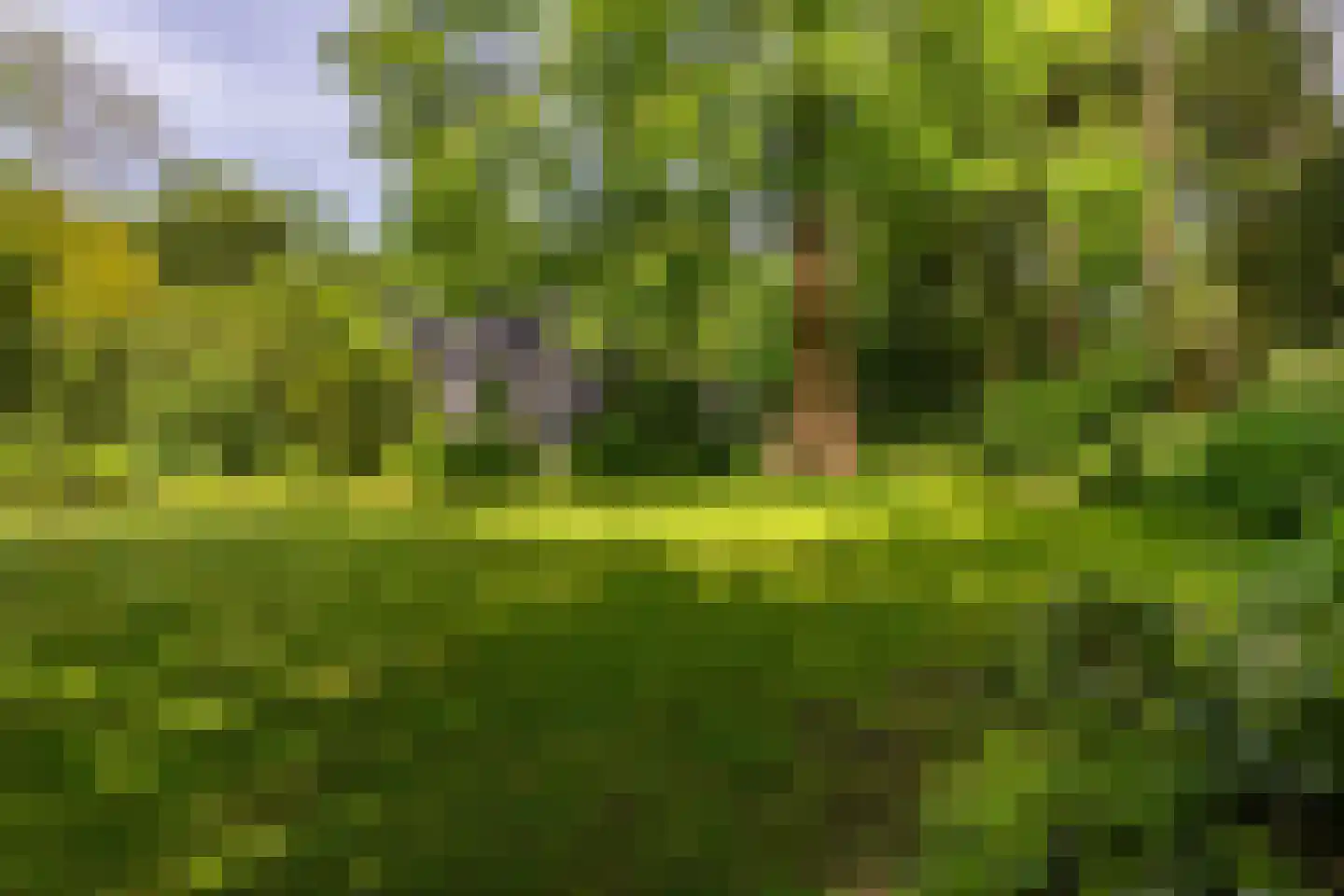 Parallelweg 71 Glimmen thumbnail 71