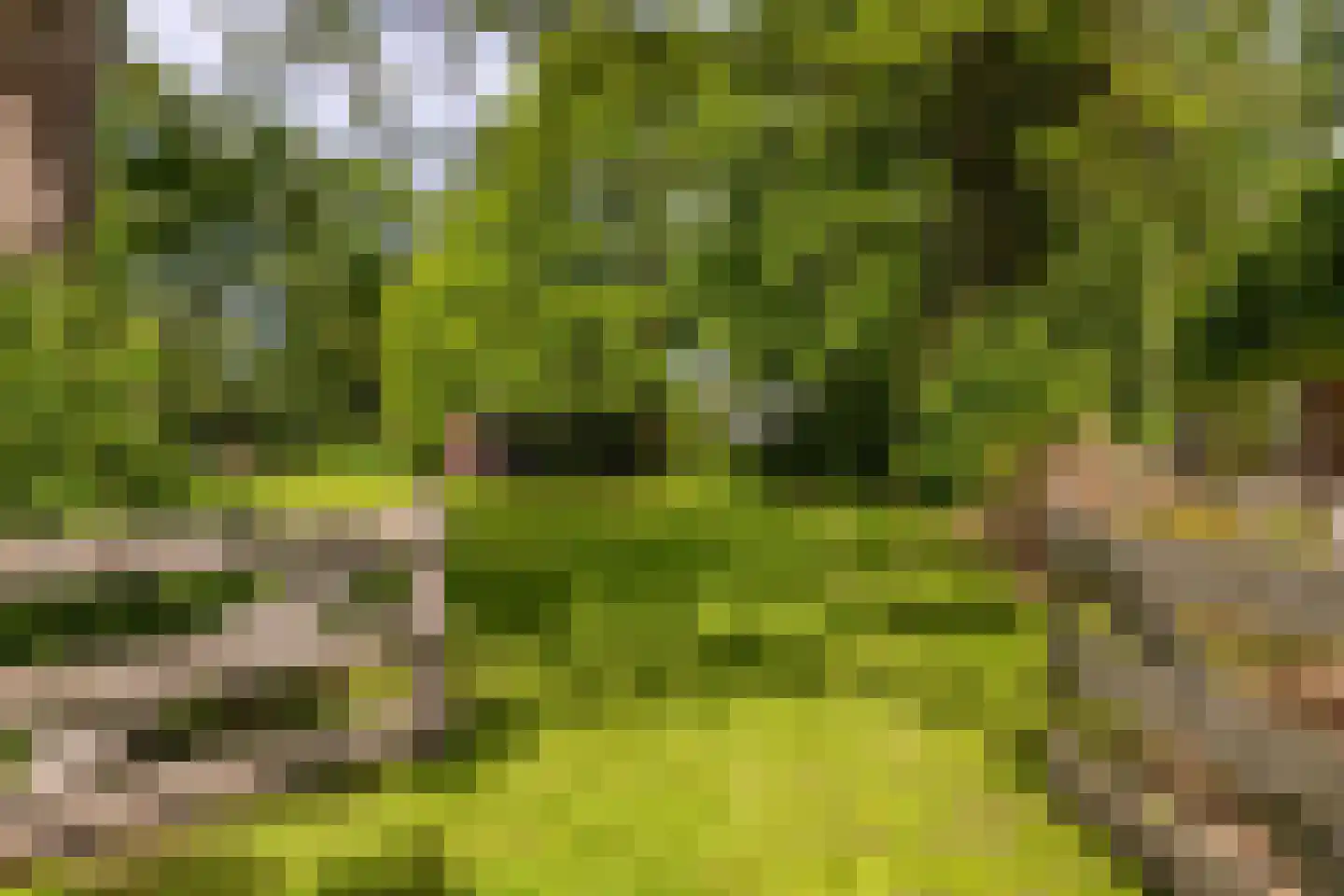 Parallelweg 71 Glimmen thumbnail 72