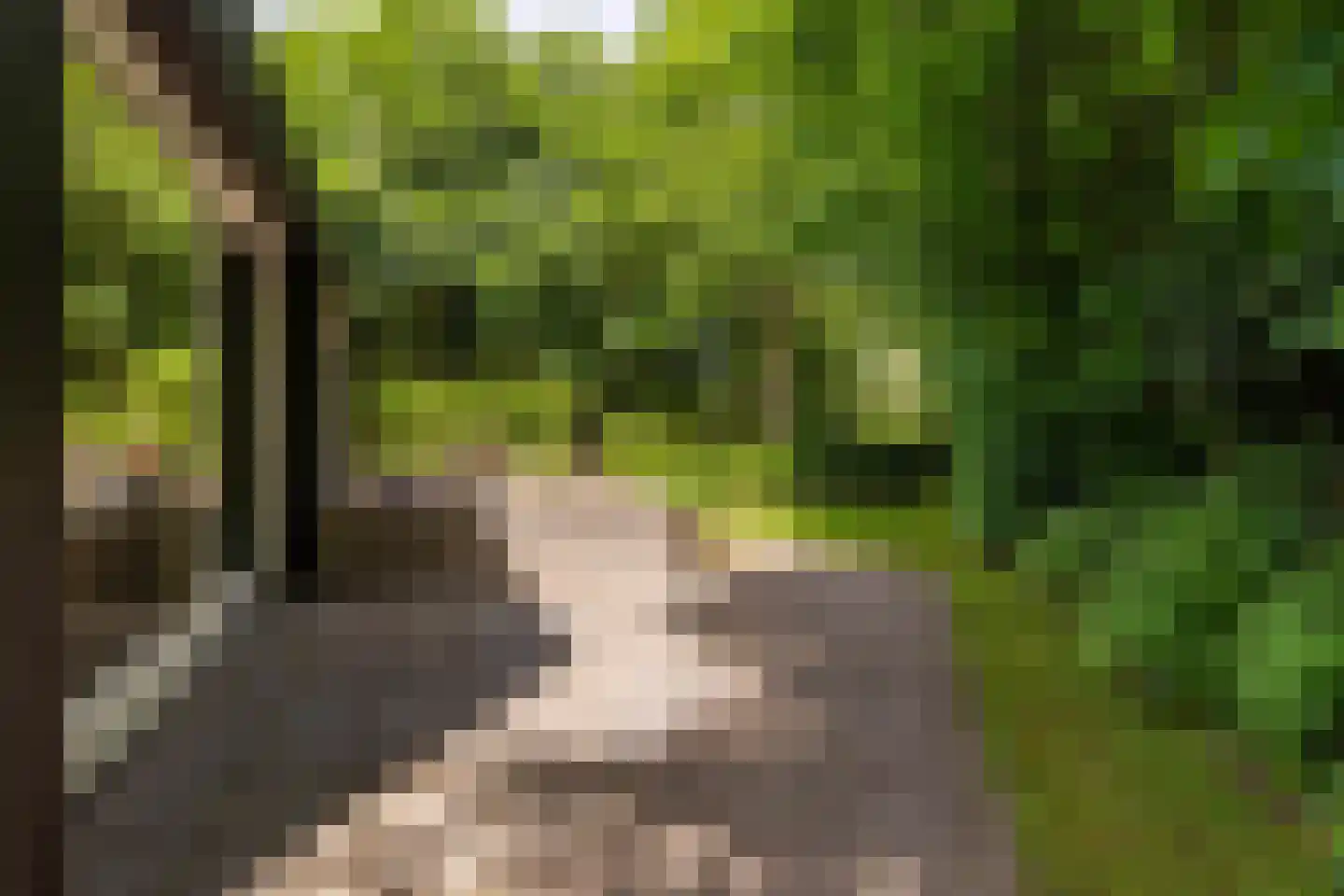 Parallelweg 71 Glimmen thumbnail 73