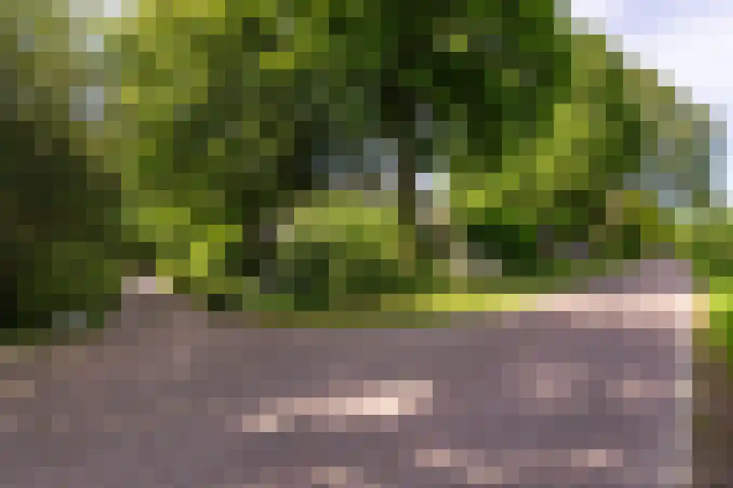 Parallelweg 71 Glimmen thumbnail 74