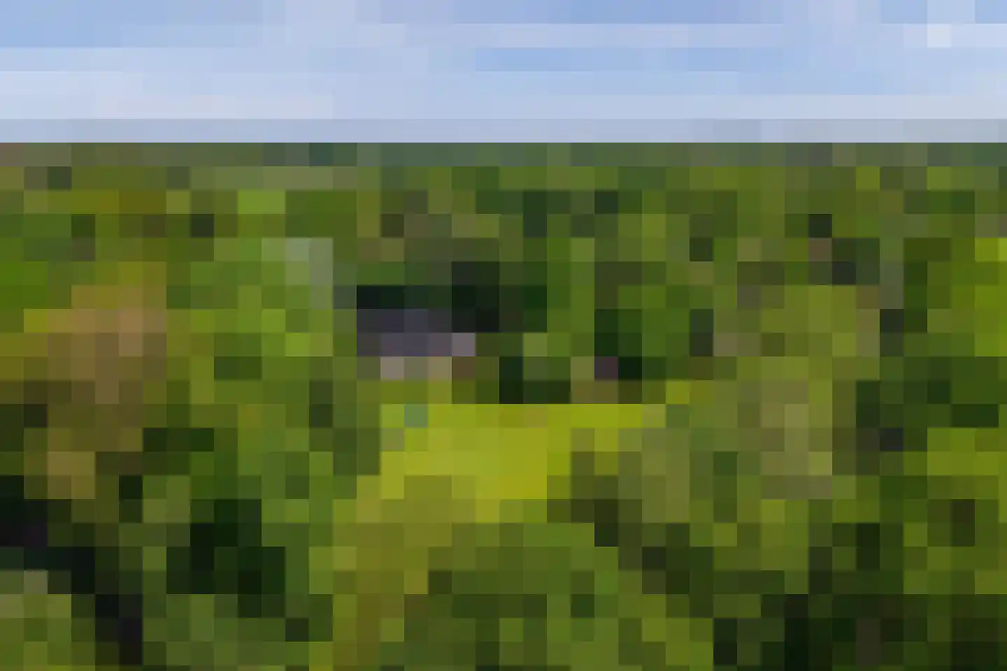 Parallelweg 71 Glimmen thumbnail 75
