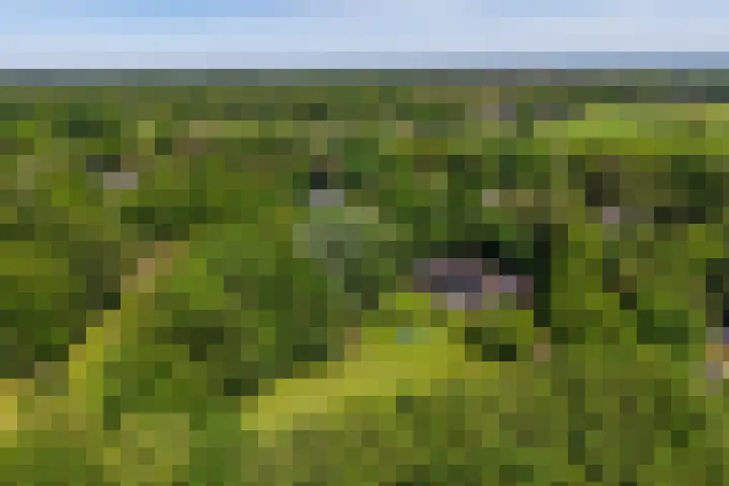 Parallelweg 71 Glimmen thumbnail 76