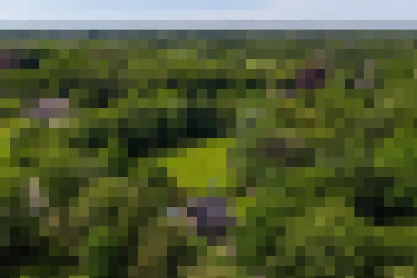 Parallelweg 71 Glimmen thumbnail 77