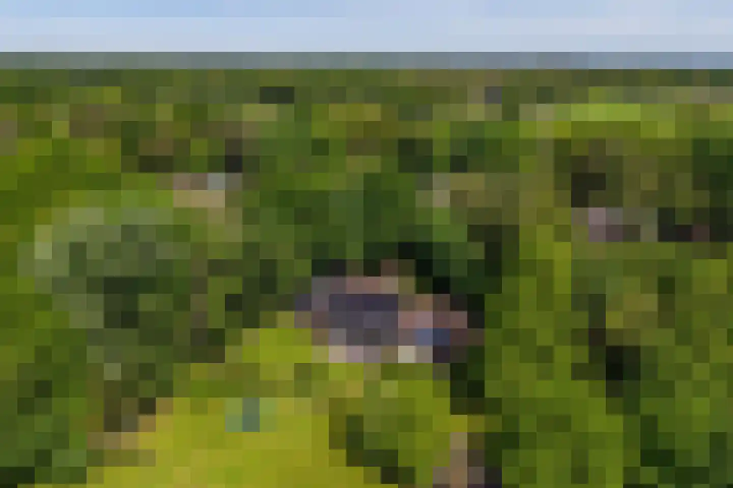 Parallelweg 71 Glimmen thumbnail 78