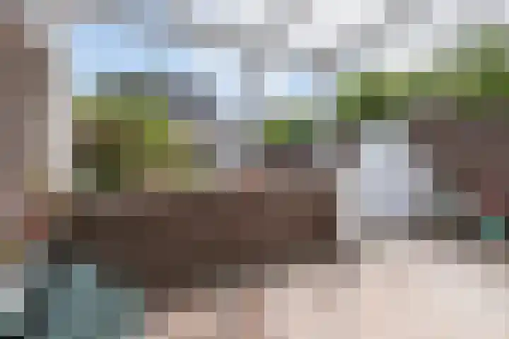 Parallelweg 73 Bergen op Zoom thumbnail 18