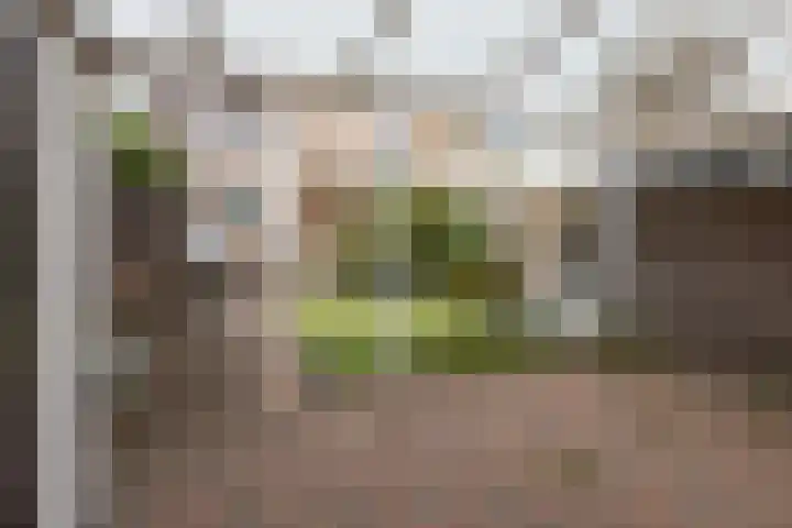 Parallelweg 73 Bergen op Zoom thumbnail 19