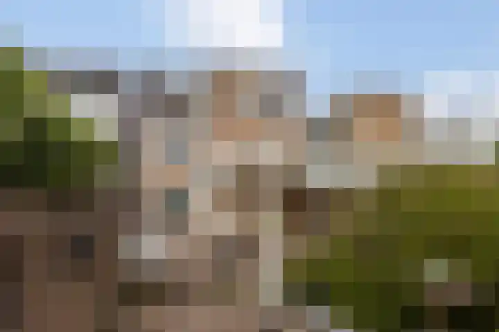 Parallelweg 73 Bergen op Zoom thumbnail 21