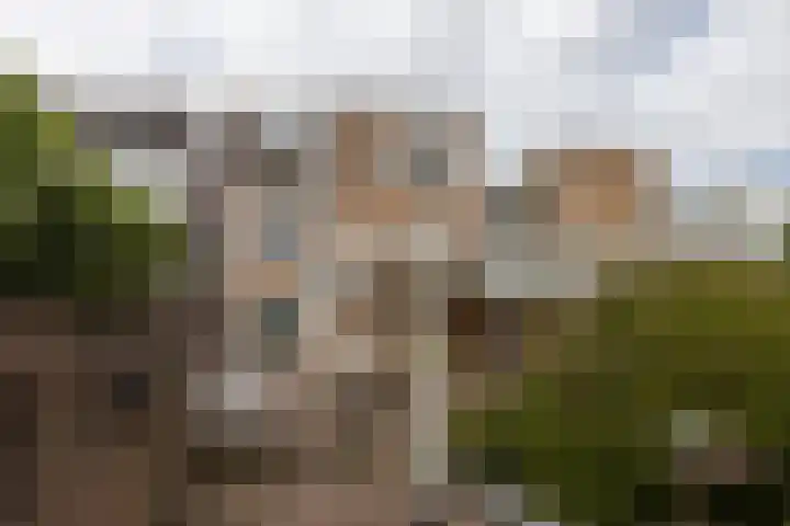 Parallelweg 73 Bergen op Zoom thumbnail 22
