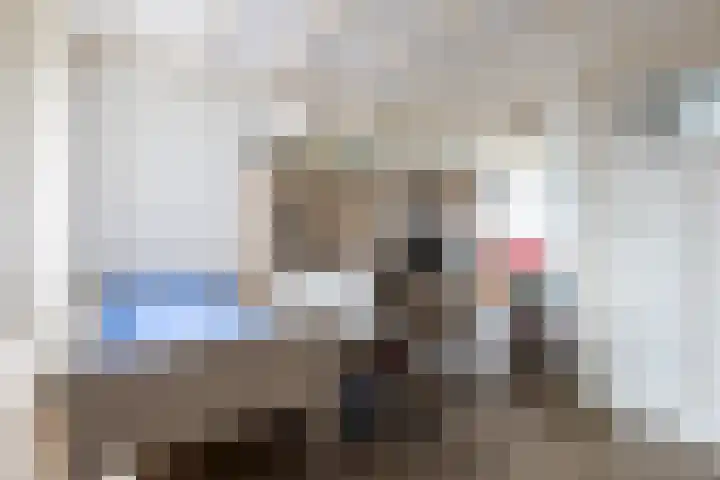 Parallelweg 73 Bergen op Zoom thumbnail 7