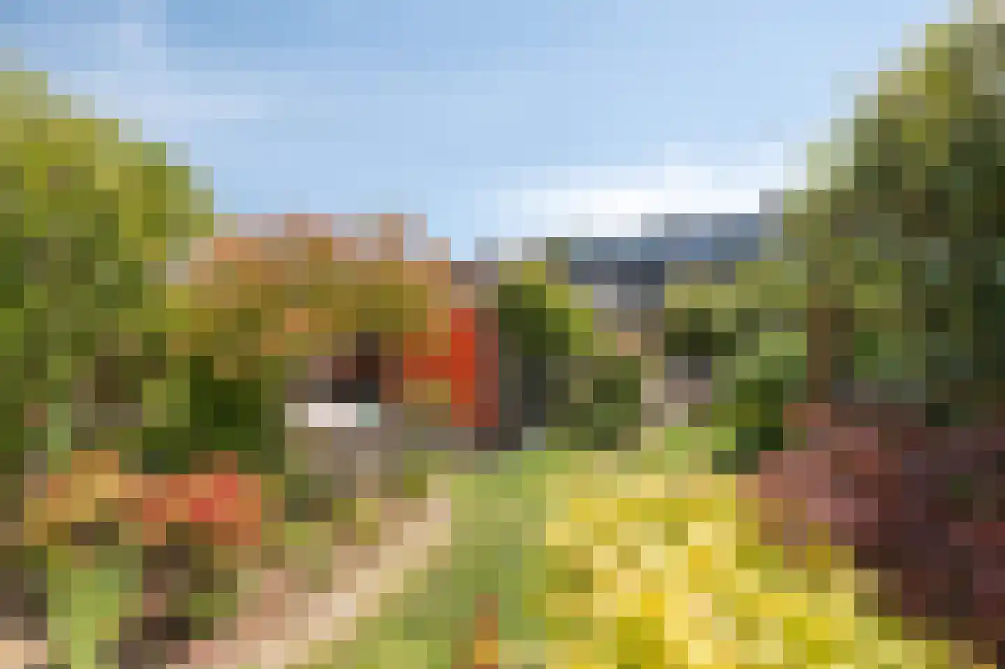 Parallelweg 73 Rheden thumbnail 19