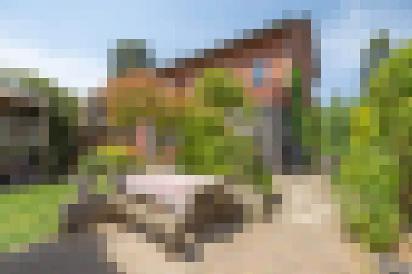 Parallelweg 73 Rheden thumbnail 21