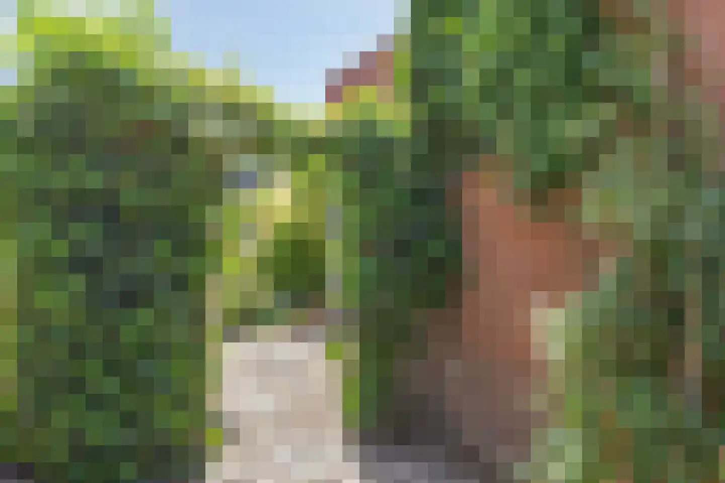 Parallelweg 73 Rheden thumbnail 23