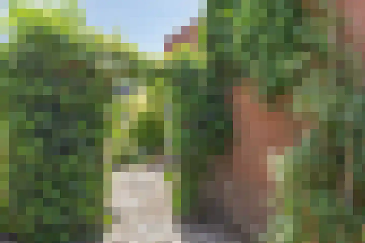 Parallelweg 73 Rheden thumbnail 24
