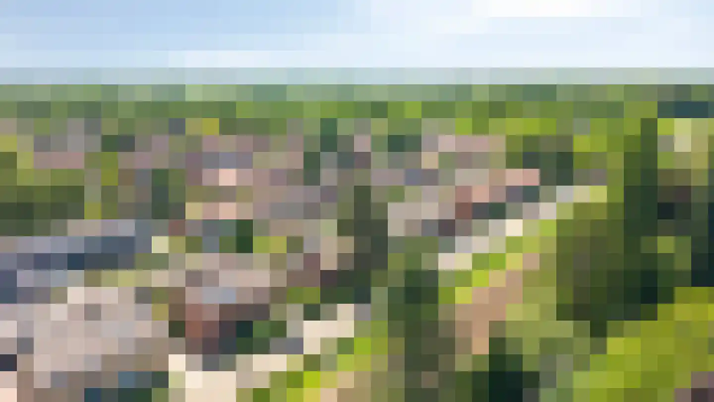 Parallelweg 73 Rheden thumbnail 25