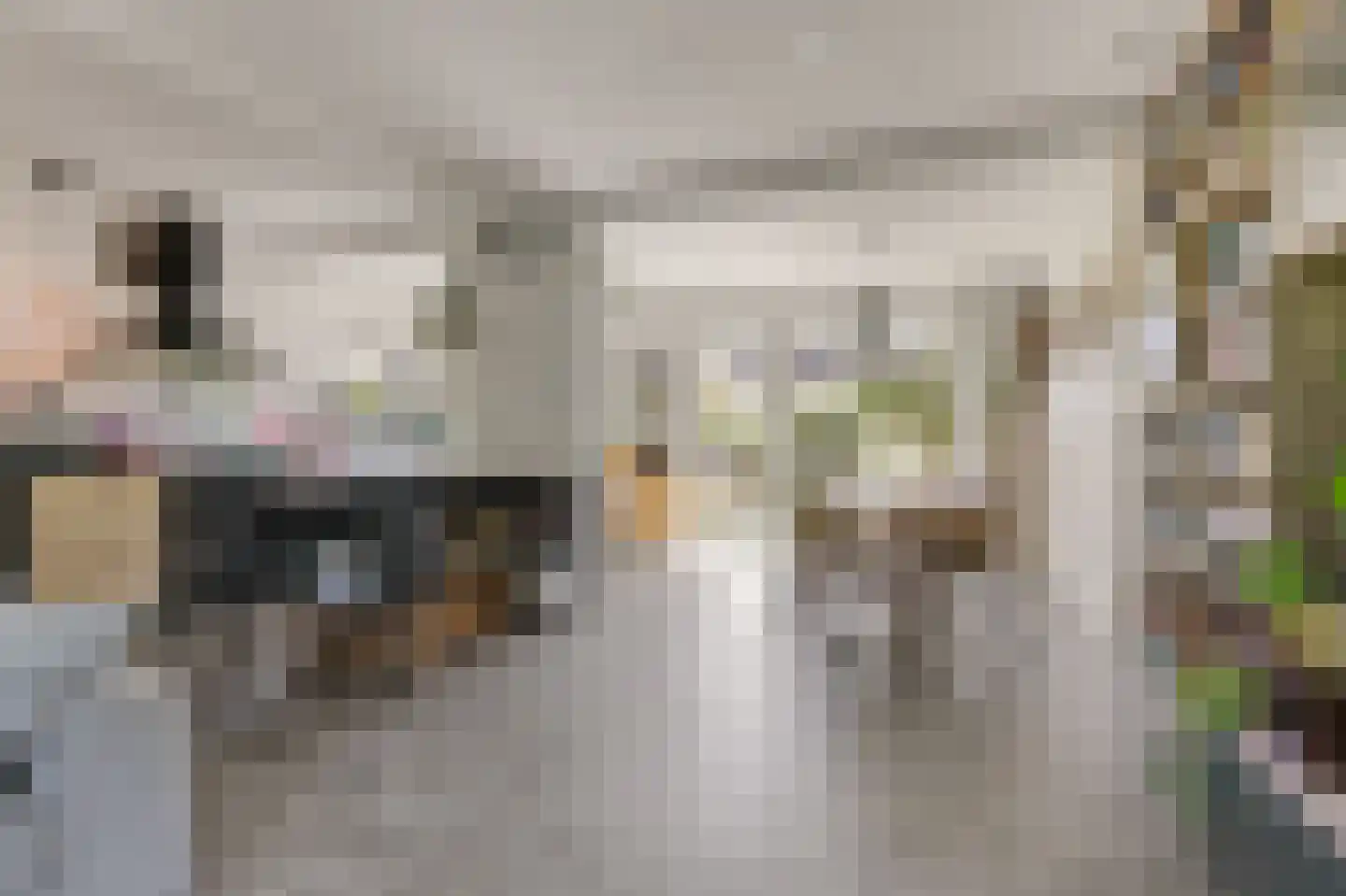 Parallelweg 73 Rheden thumbnail 4