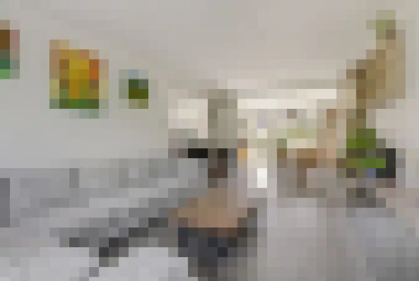 Parallelweg 73 Rheden thumbnail 8