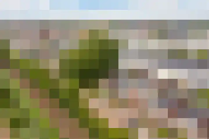 Parallelweg 74 Veenendaal thumbnail 38