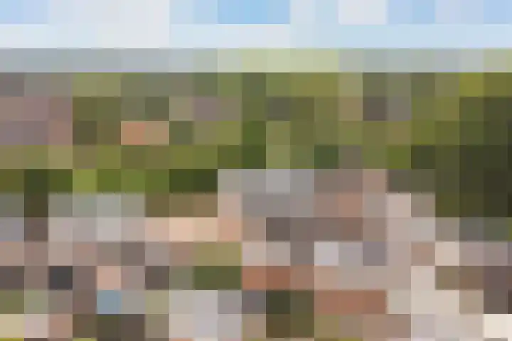 Parallelweg 74 Veenendaal thumbnail 39
