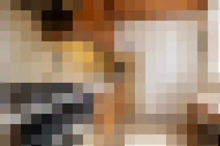 Parallelweg 74 Veenendaal thumbnail 7