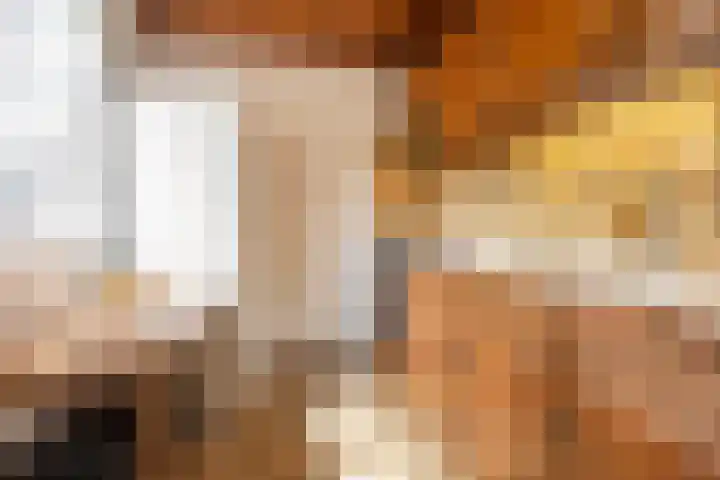 Parallelweg 74 Veenendaal thumbnail 8