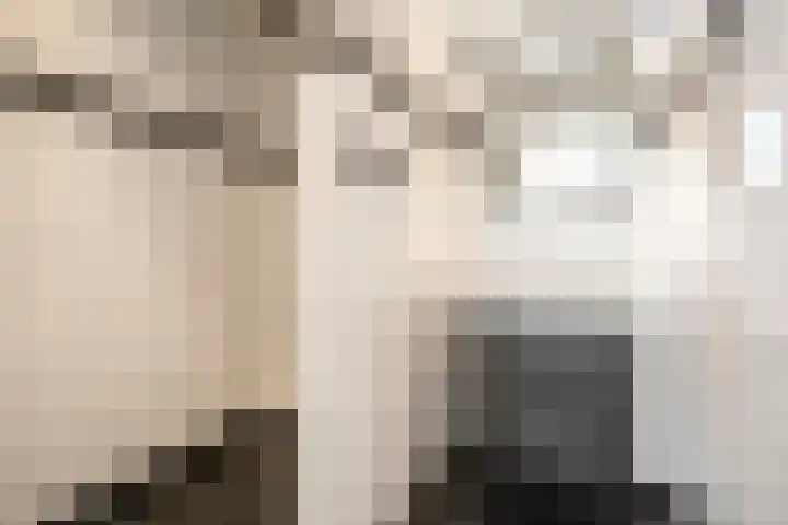 Parallelweg 74 Veenendaal thumbnail 9