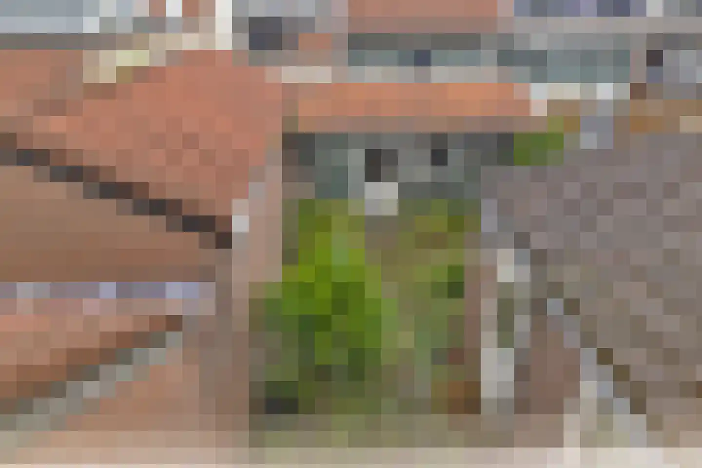 Parallelweg 77 Den Helder thumbnail 28