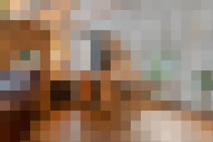 Parallelweg 78 De Krim thumbnail 15