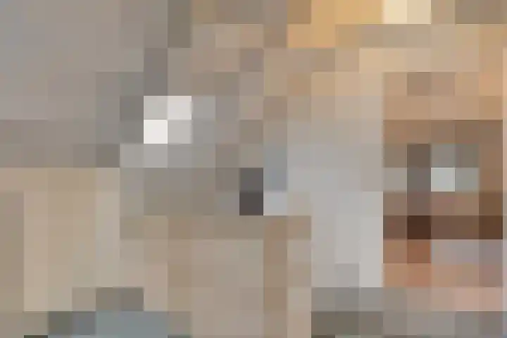 Parallelweg 78 De Krim thumbnail 31