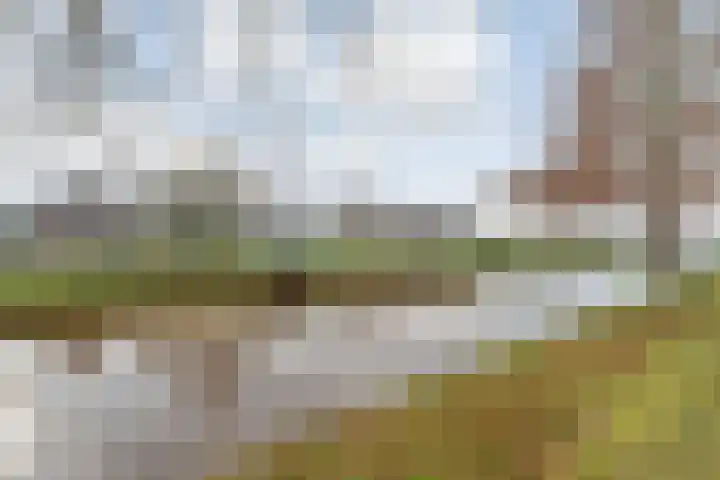 Parallelweg 78 De Krim thumbnail 38