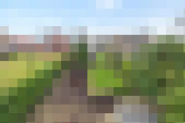 Parallelweg 78 De Krim thumbnail 4