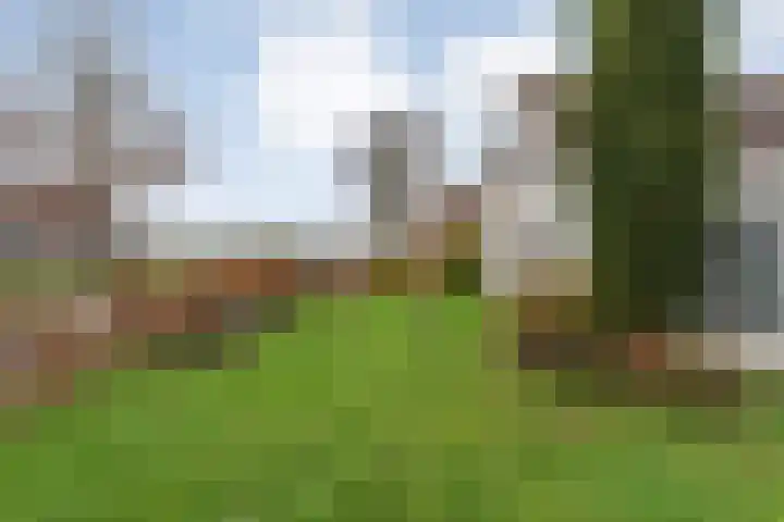 Parallelweg 78 De Krim thumbnail 41