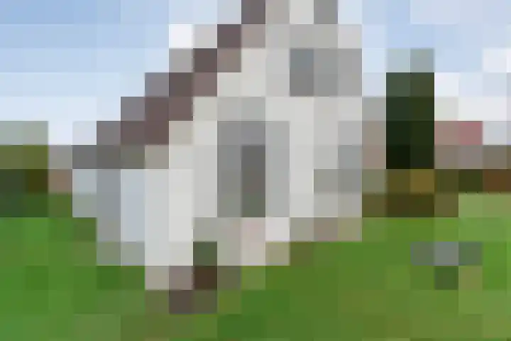 Parallelweg 78 De Krim thumbnail 42