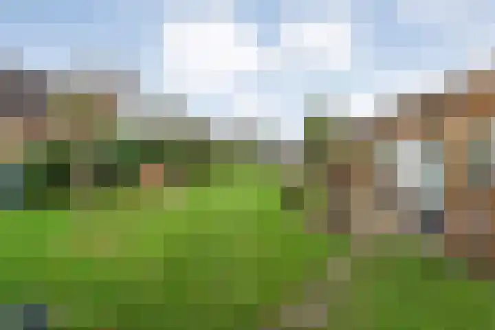Parallelweg 78 De Krim thumbnail 47