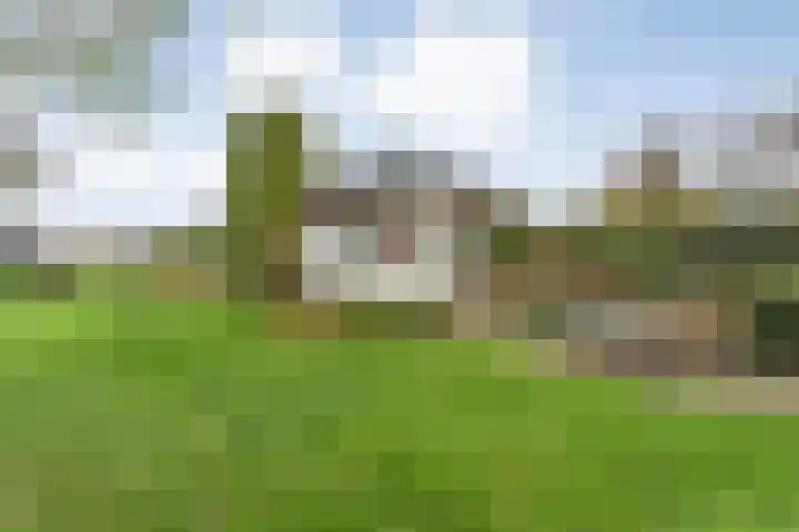 Parallelweg 78 De Krim thumbnail 51
