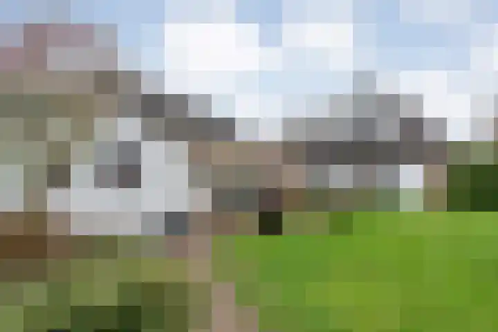 Parallelweg 78 De Krim thumbnail 52