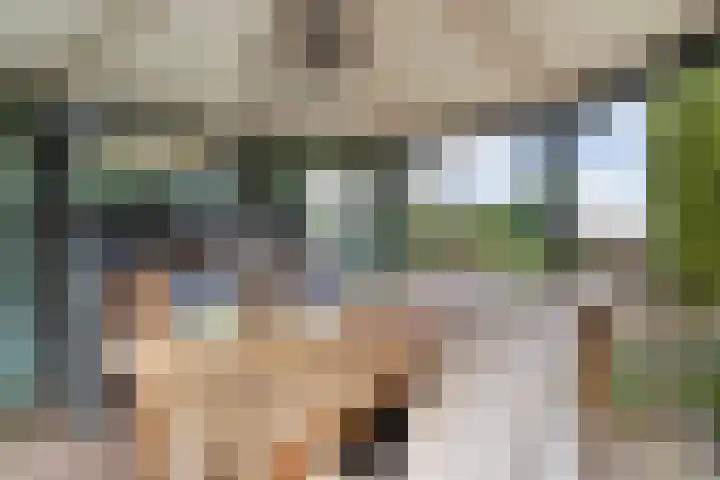 Parallelweg 78 De Krim thumbnail 53