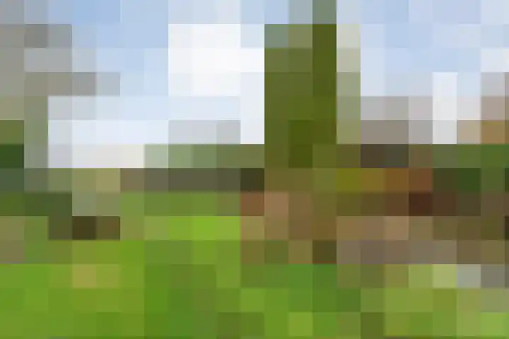 Parallelweg 78 De Krim thumbnail 54