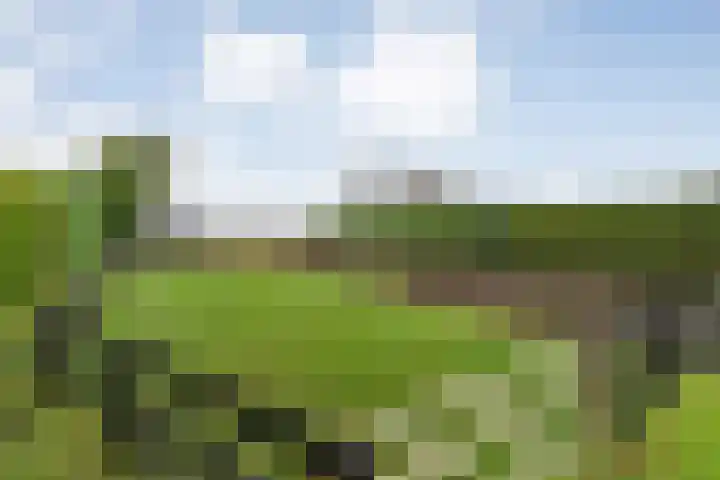 Parallelweg 78 De Krim thumbnail 56