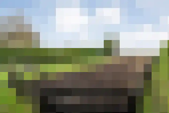 Parallelweg 78 De Krim thumbnail 57