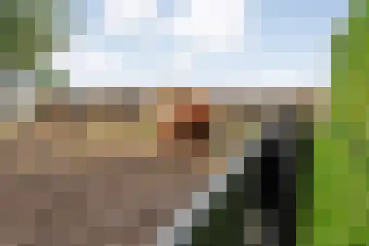 Parallelweg 78 De Krim thumbnail 58