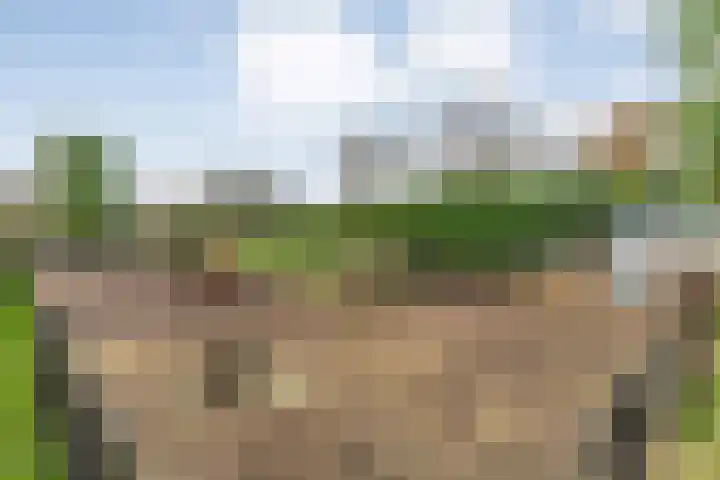 Parallelweg 78 De Krim thumbnail 60