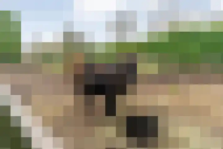 Parallelweg 78 De Krim thumbnail 61
