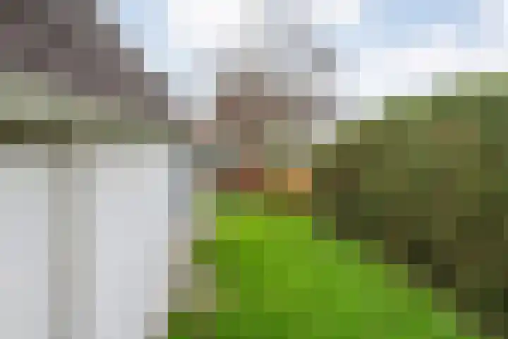 Parallelweg 78 De Krim thumbnail 62