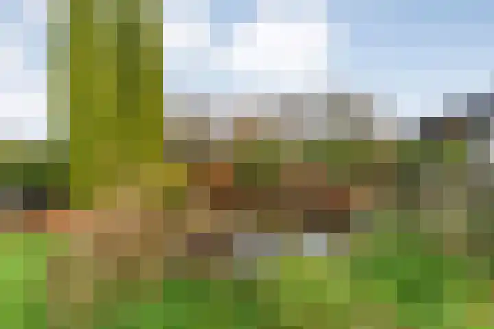 Parallelweg 78 De Krim thumbnail 64