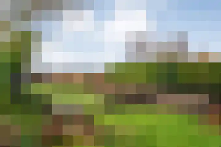 Parallelweg 78 De Krim thumbnail 65