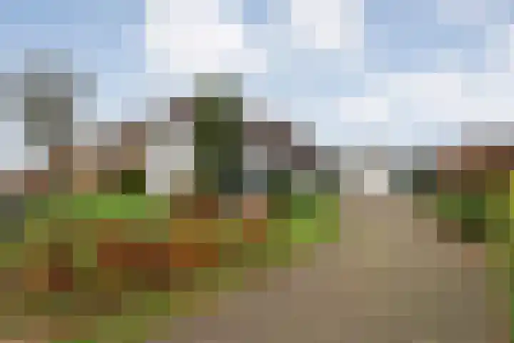 Parallelweg 78 De Krim thumbnail 66