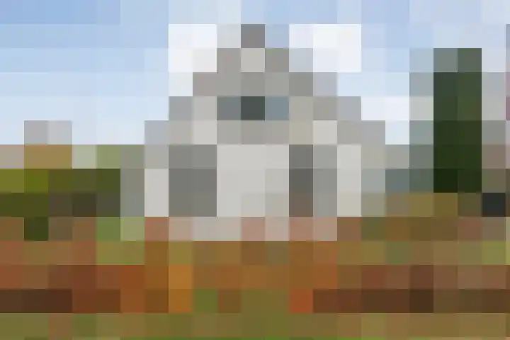 Parallelweg 78 De Krim thumbnail 67
